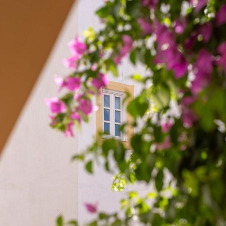 에보라 Casa Morgado Esporao B&B 외부 사진