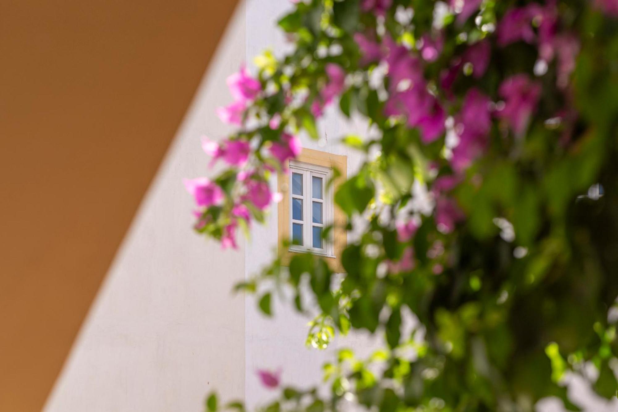 에보라 Casa Morgado Esporao B&B 외부 사진